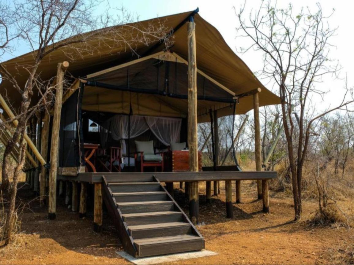 Honeyguide Tented Safari Camps - Mantobeni Manyeleti Game Reserve Bagian luar foto