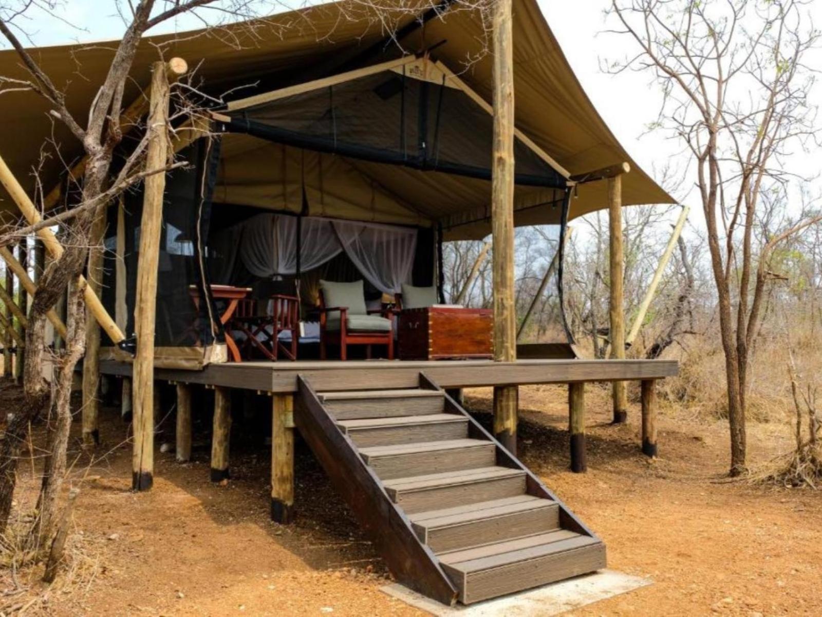 Honeyguide Tented Safari Camps - Mantobeni Manyeleti Game Reserve Ruang foto